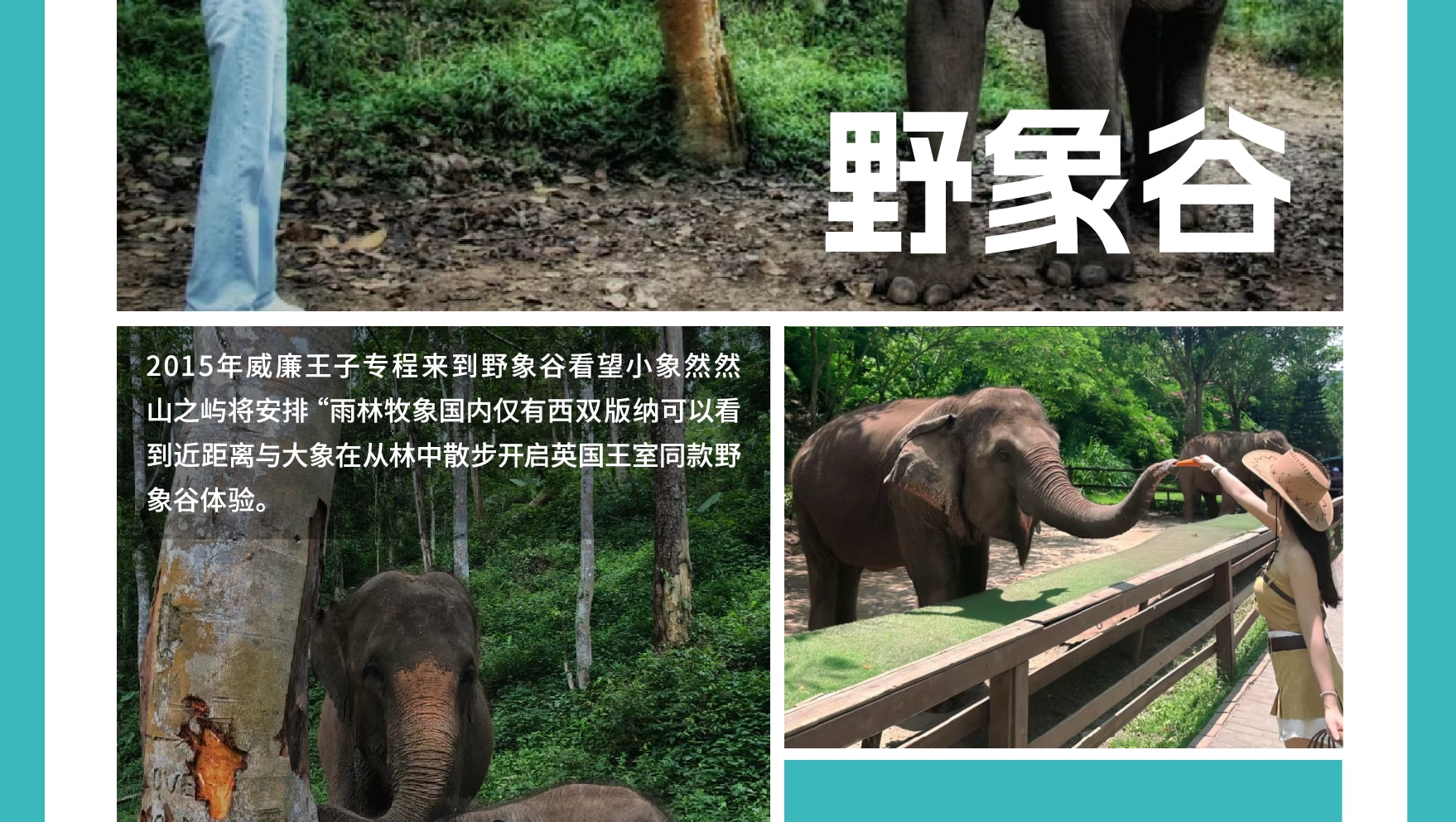 雲南西雙版納景邁山野奢度假5日（雨林牧象+星光夜市+世遺景邁山茶林徒步+小粒咖啡+翁基糯幹古寨local walk+火塘烤茶+雲海日出）