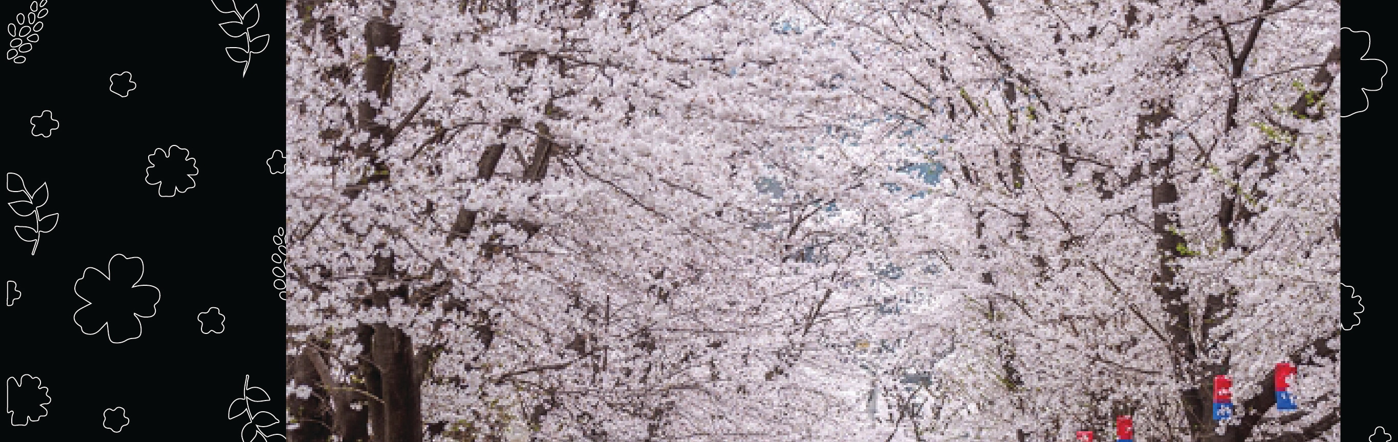 南怡島 (Nami Island) & 伊甸園冰雪世界 (Eobi Ice Valley) & 全景場 (Panorama Field) &  晨靜樹木園 (Morning Calm) 旅遊