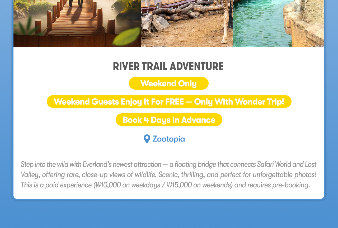 Everland Day Tour: Priority Entry (Till 31/5) + Optional Meal Coupon