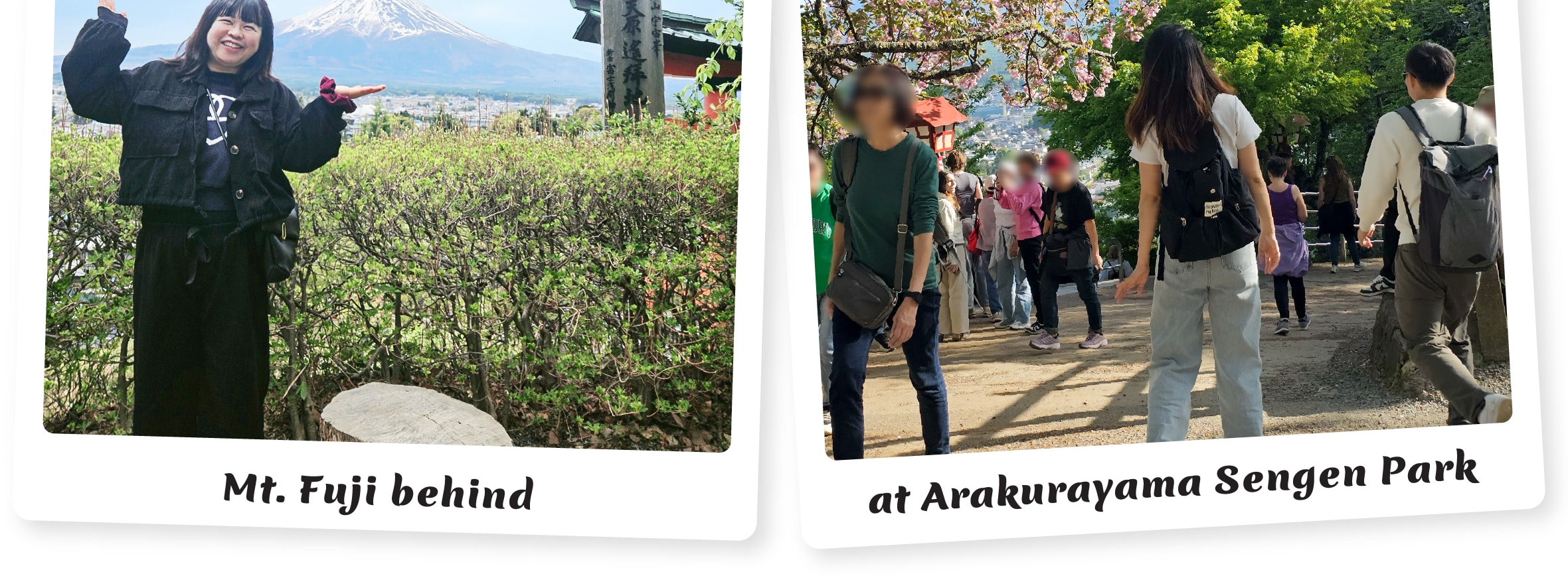 富士山 & 箱根: 富士山五合目/河口湖/大石公園/忍野八海/大涌谷/大淵笹場/雕刻之森美術館/箱根纜車/海賊船 (中/英/韓語導遊)