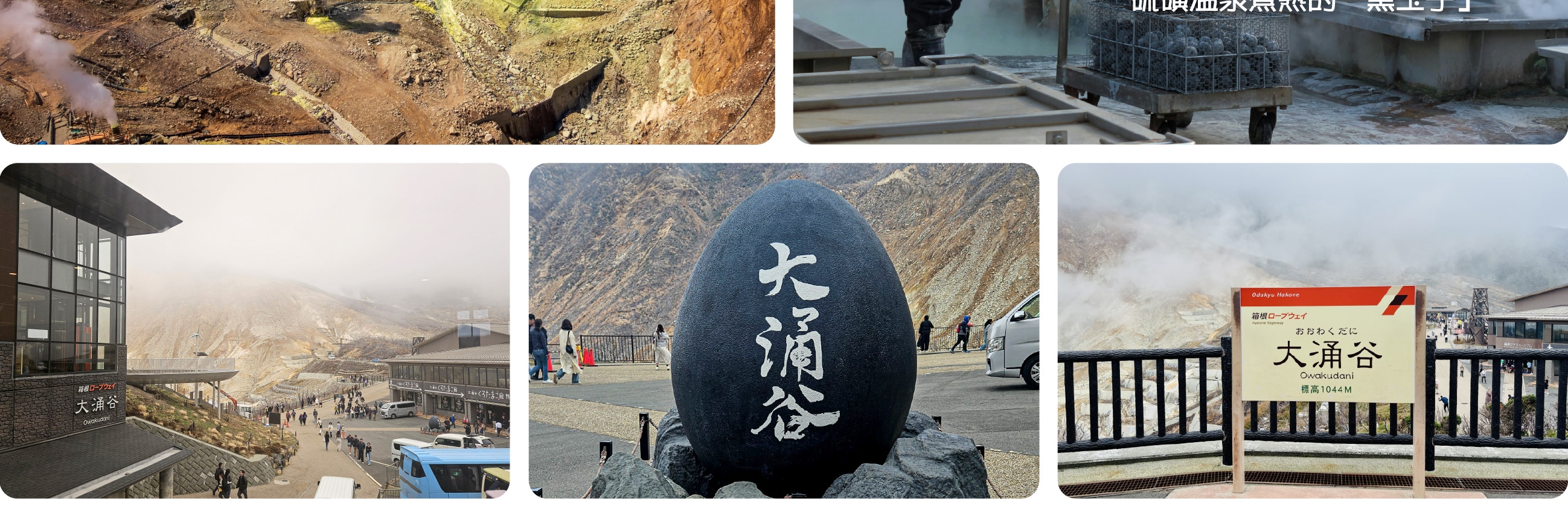 富士山 & 箱根: 富士山五合目/河口湖/大石公園/忍野八海/大涌谷/大淵笹場/雕刻之森美術館/箱根纜車/海賊船 (中/英/韓語導遊)