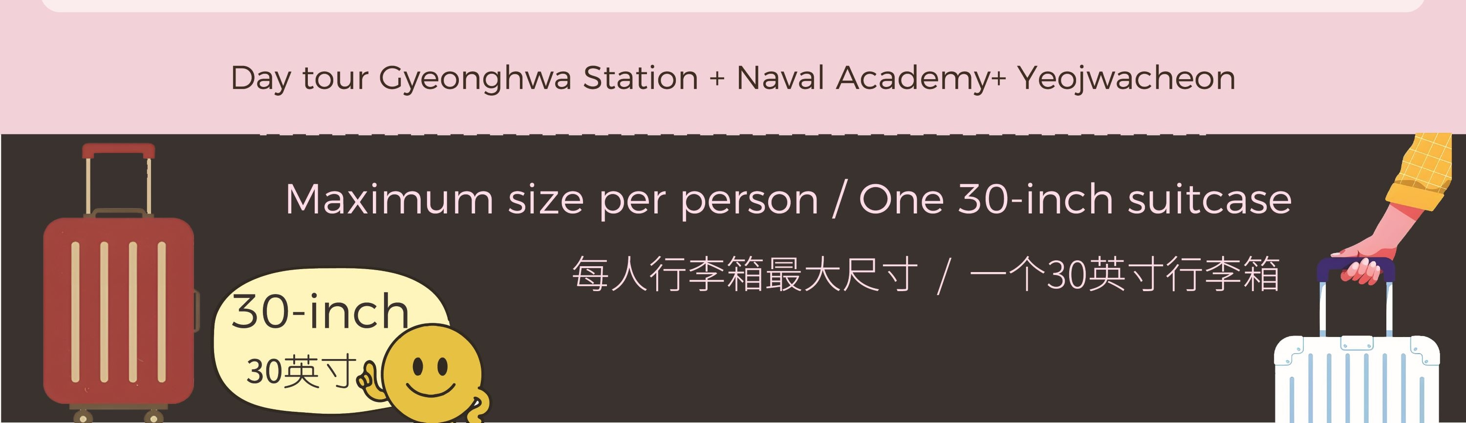 鎮海軍港節賞櫻一日遊（首爾／釜山出發）