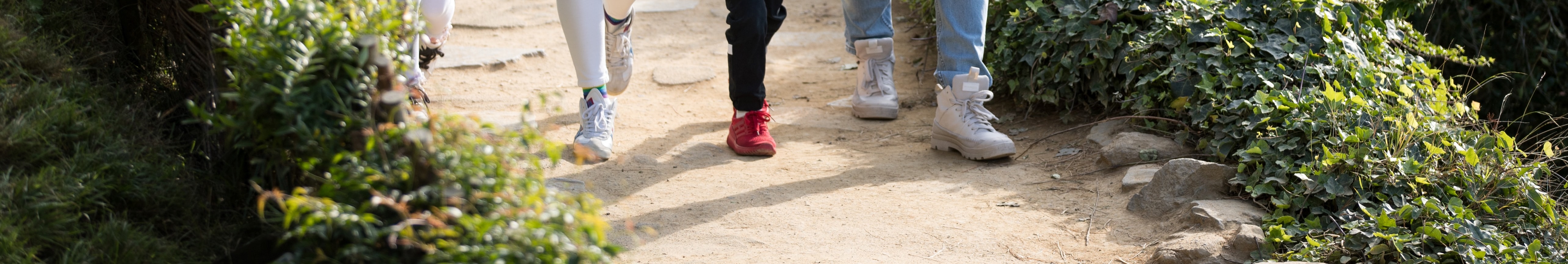 走進神奇的夏爾，漫步在綠意盎然的古樸哈比村人洞穴中