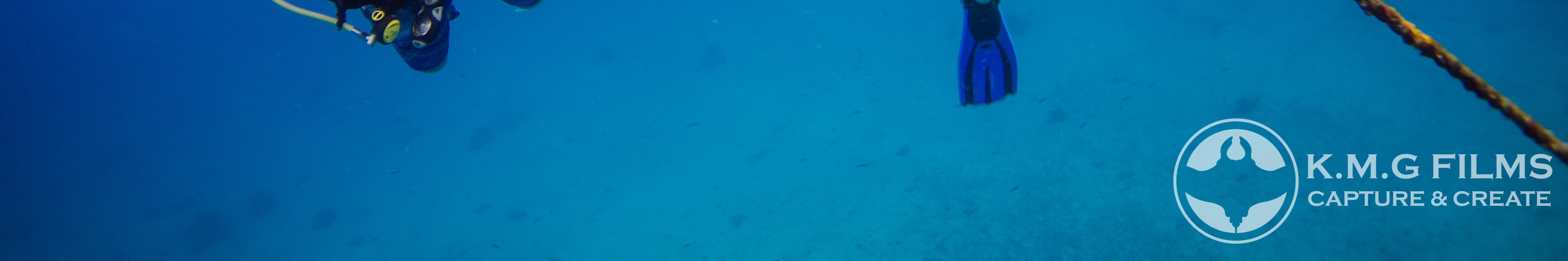馬拉帕斯卡島清晨長尾鯊潛水同遊體驗（PADI五星級潛水中心）