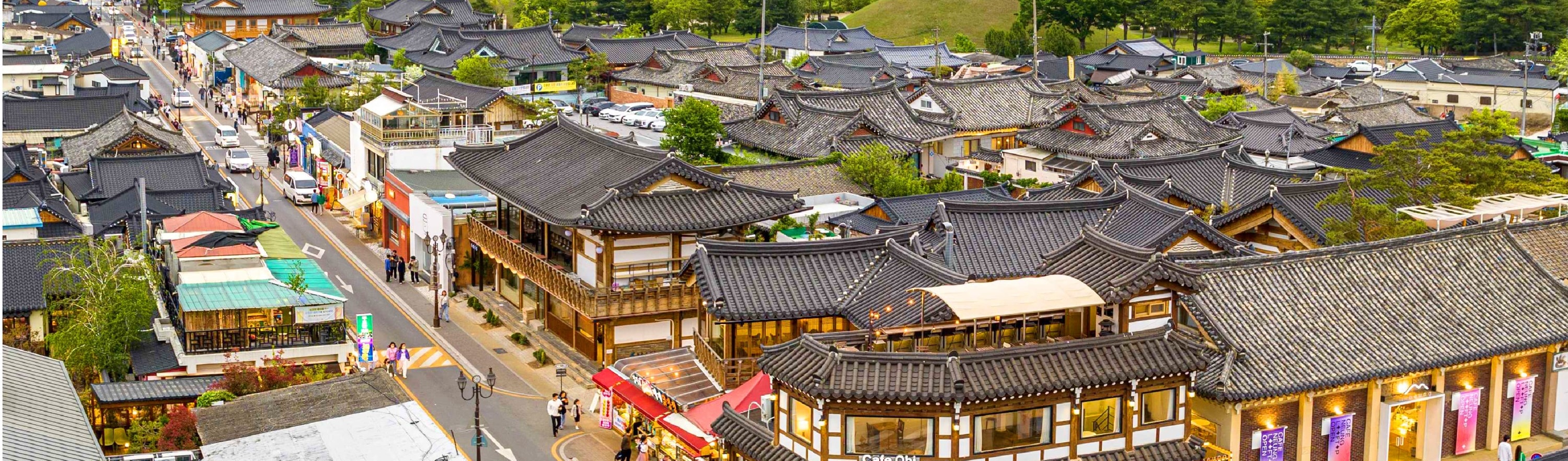 釜山 & 慶州一日遊（釜山出發）