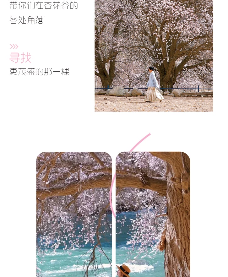 【春季限定】新疆杏會疆南7日（全程攝影旅拍+坦克300+塔爾鄉杏花+盤龍古道+慕士塔格冰川+白沙湖+班迪爾藍湖+木吉火山口+喀什古城）