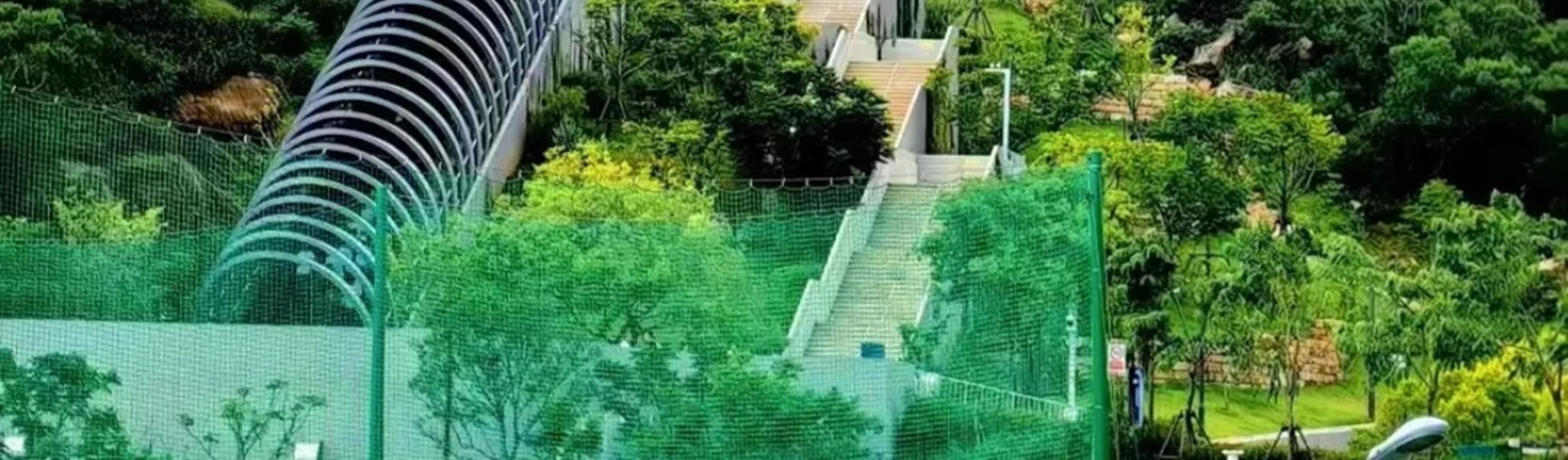 福建廈門高端2日遊（暢遊絕美鼓浪嶼+南普陀寺+植物園+邂逅廈門大學+感受華僑領袖陳嘉庚精神+贈送精緻下午茶+可選星鑽住宿+廈門往返）