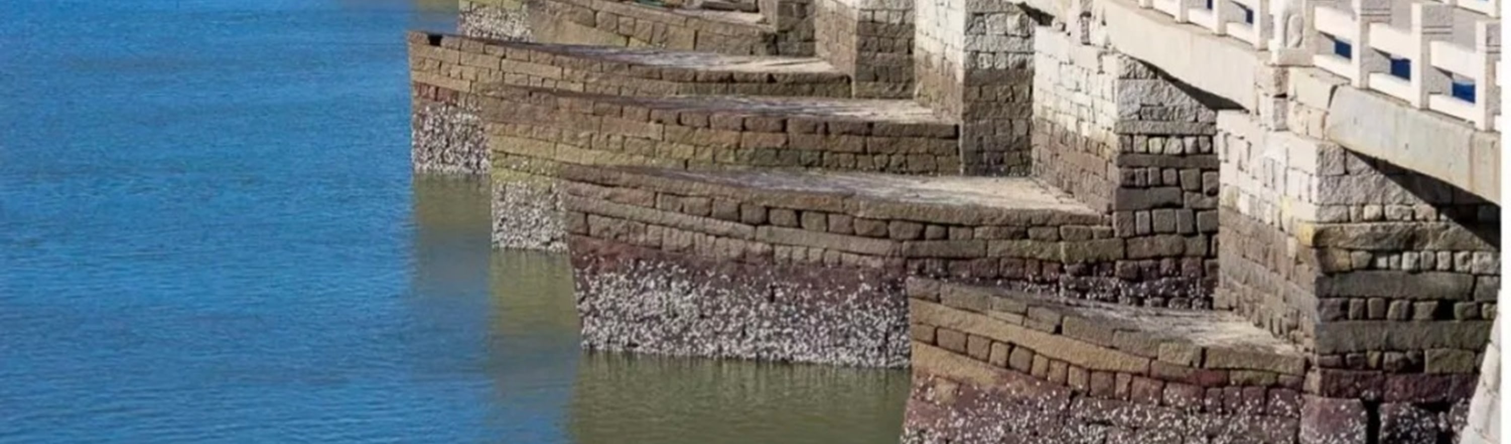 福建泉州蟳埔村&開元寺&洛陽橋1日遊（蟳埔村+開元寺+跨海梁式洛陽橋+《黑神話悟空》取景地+贈送女士簪花項目+探索非遺魅力+廈門往返）