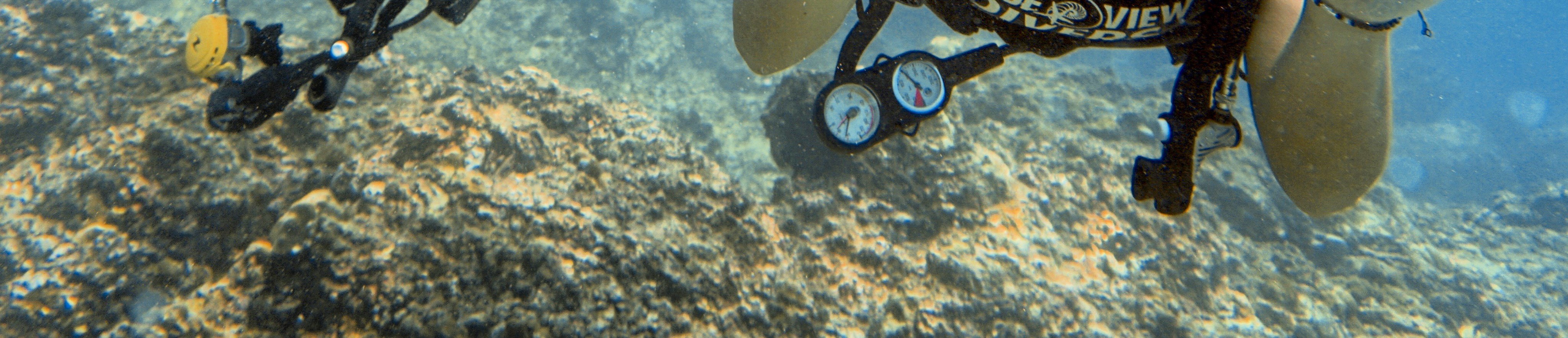 皮皮島首次潛水體驗（PADI五星級IDC）