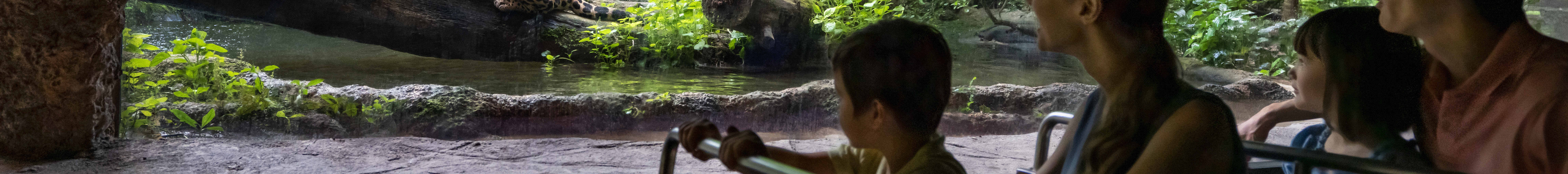 新加坡河川生態園門票｜曼達野生動物保護區