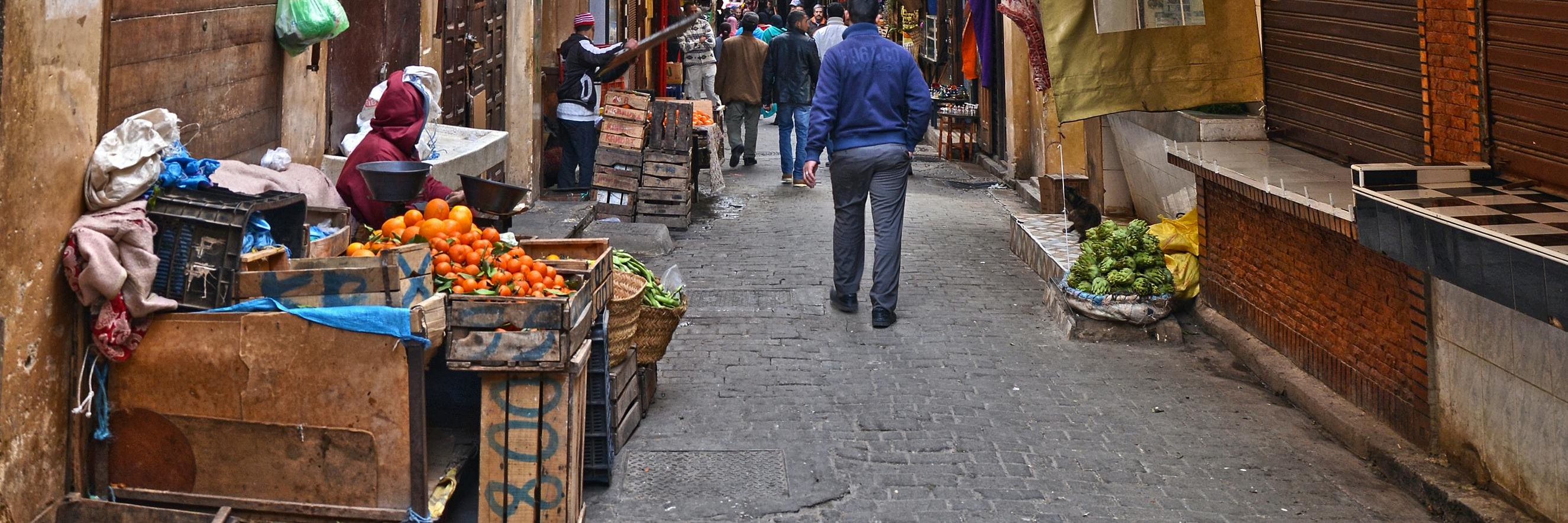 Fez: Royal Palace, Museum, Tannery & Old Souks Medina Tour