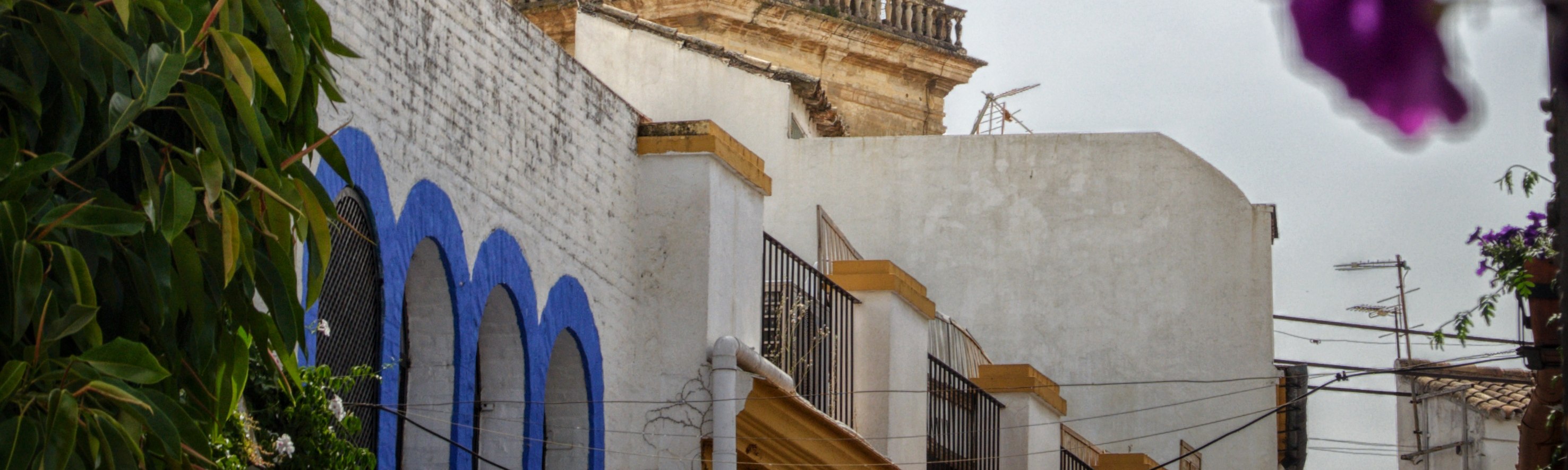 From Granada: Transfer to Seville