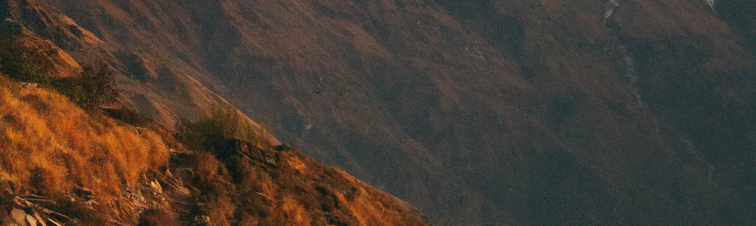 博卡拉：4天馬爾迪喜馬拉雅山徒步之旅