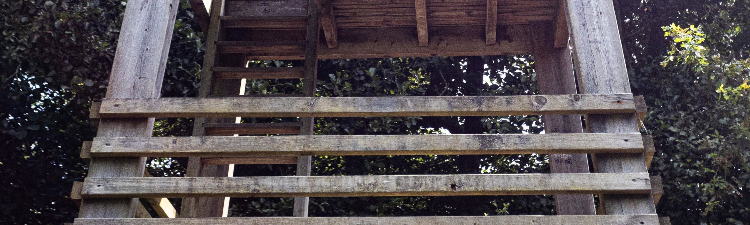 Observation tower