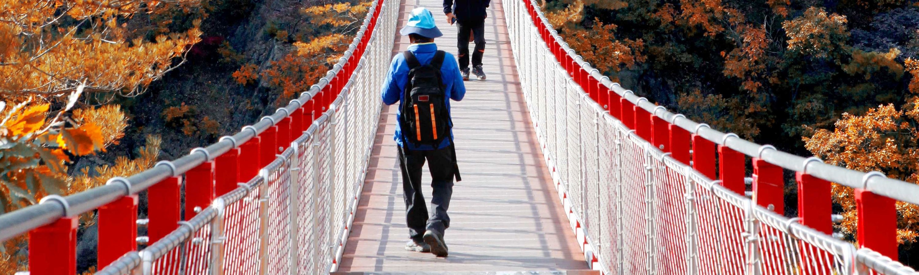 DMZ Tour with Local Specialty Liquor Tasting Courses
