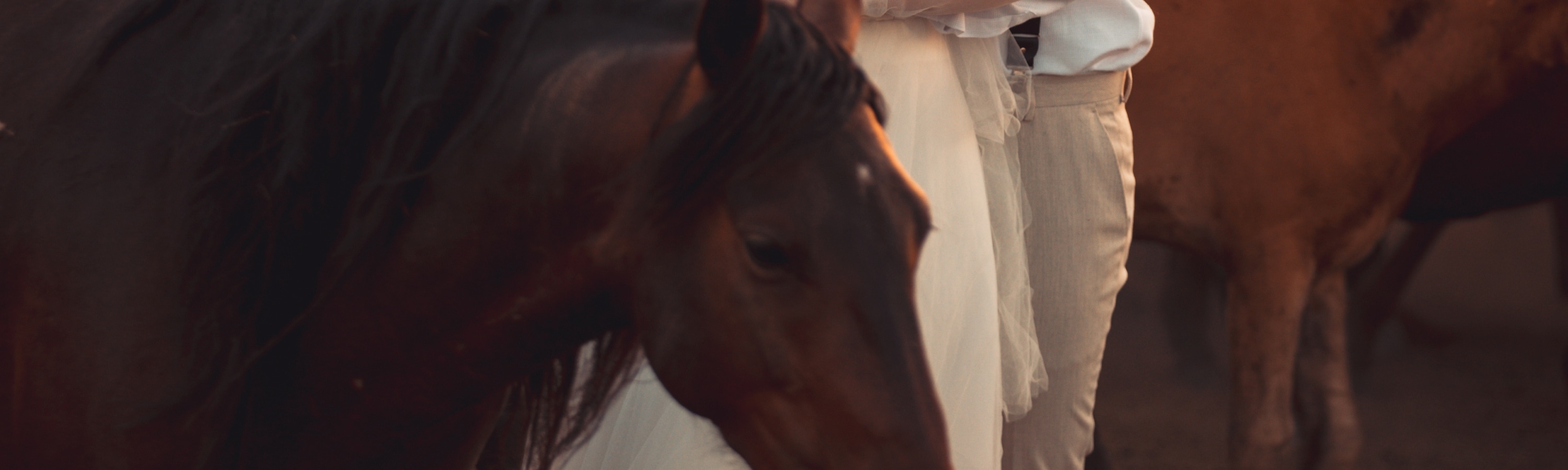 Private Photoshoot With Wild Horses in Cappadocia - Thumbnail 16
