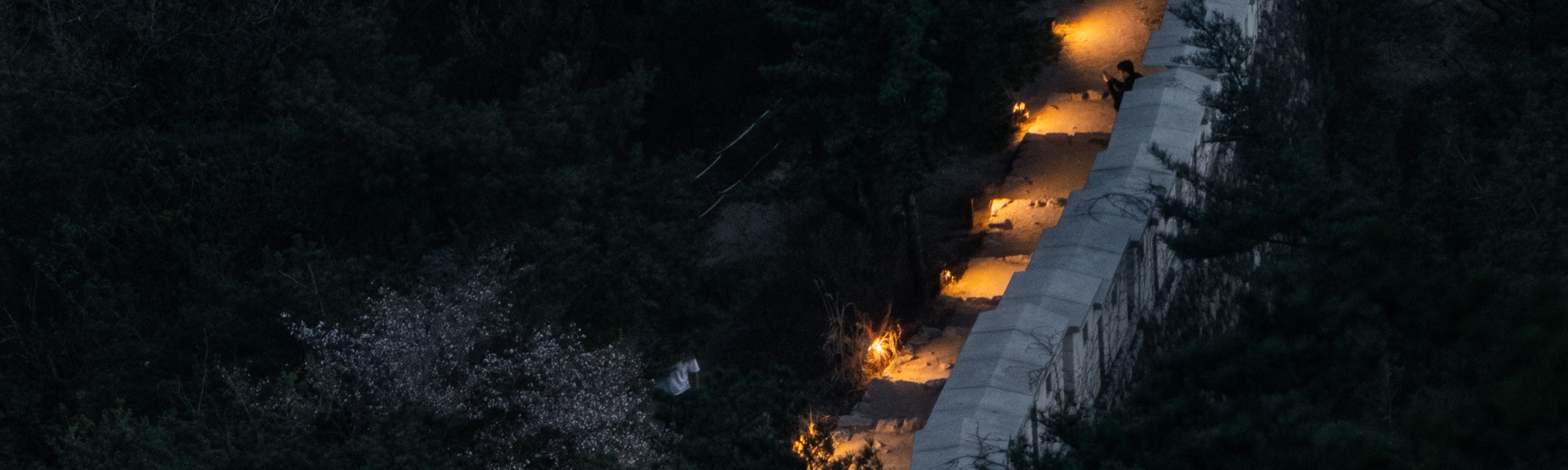 首爾夜景 & 當地市場街頭小吃品嚐體驗