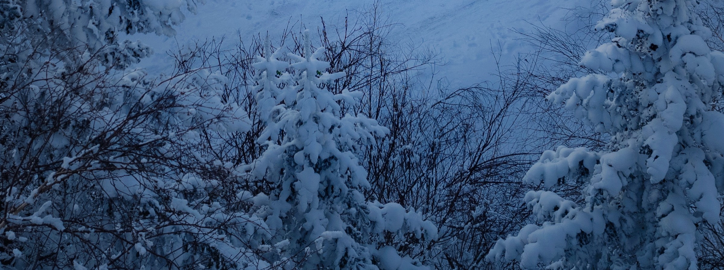 D5：境內【老裡克湖】保留著最原生態景觀資源，讓人印象深刻，其被譽為“中國南極”、“北方的香格里拉”。莽莽的林海雪原，厚厚的雪，在筆直挺拔直聳雲天原始林木間，徒步穿行3.5公里，賞盡森林霧冰掛、天然雪雕，直至高山深處的靜謐平湖，人跡罕至，卻有不時出現的動物蹤跡，令人感到非常神秘。
