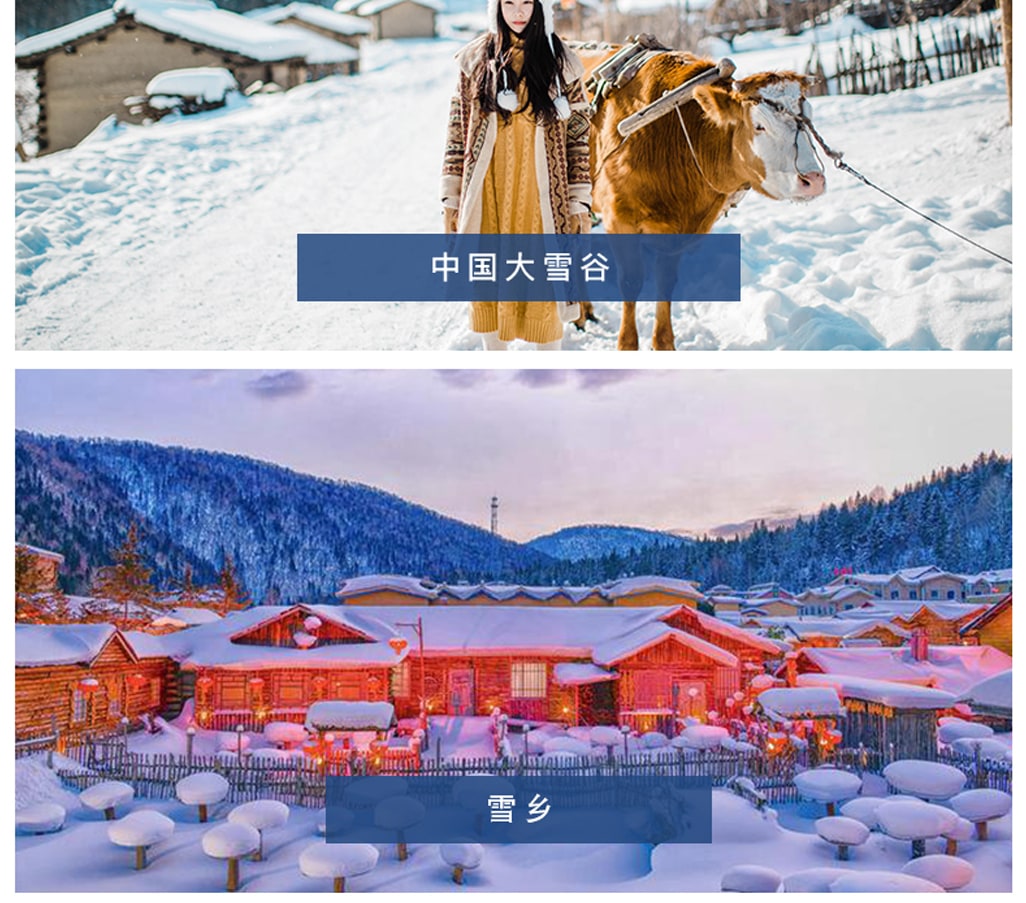 東北哈爾濱雪鄉奇遇5日(哈爾濱冰雪大世界+索菲亞教堂+亞布力滑雪+雪鄉+冰雪畫廊+大雪谷）