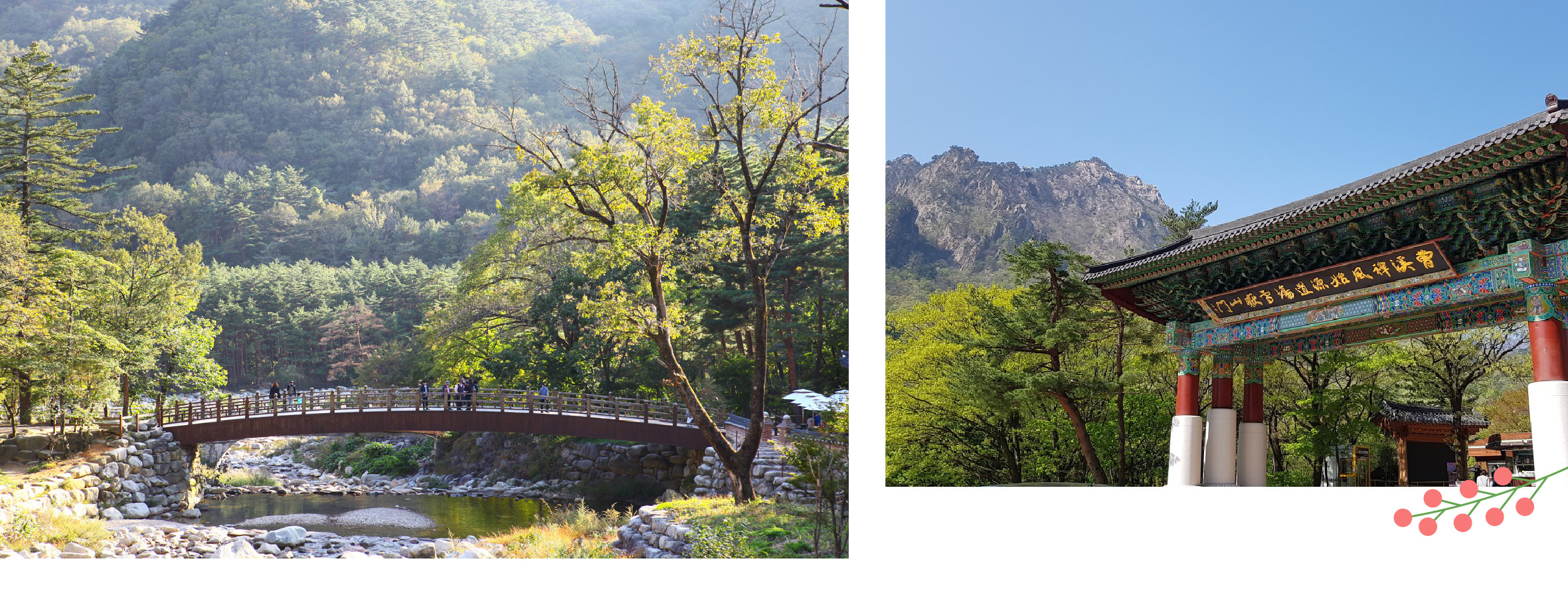 雪嶽山 & 洛山寺一日遊（首爾出發）