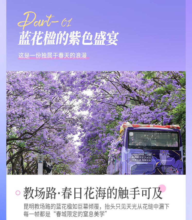 雲南昆明藍花楹與蒼洱瀘沽｜7天6晚2~7人小團（昆明+藍花楹+大理洱海+瀘沽湖+瀑布溫泉+西昌藍花楹+元謀土林）
