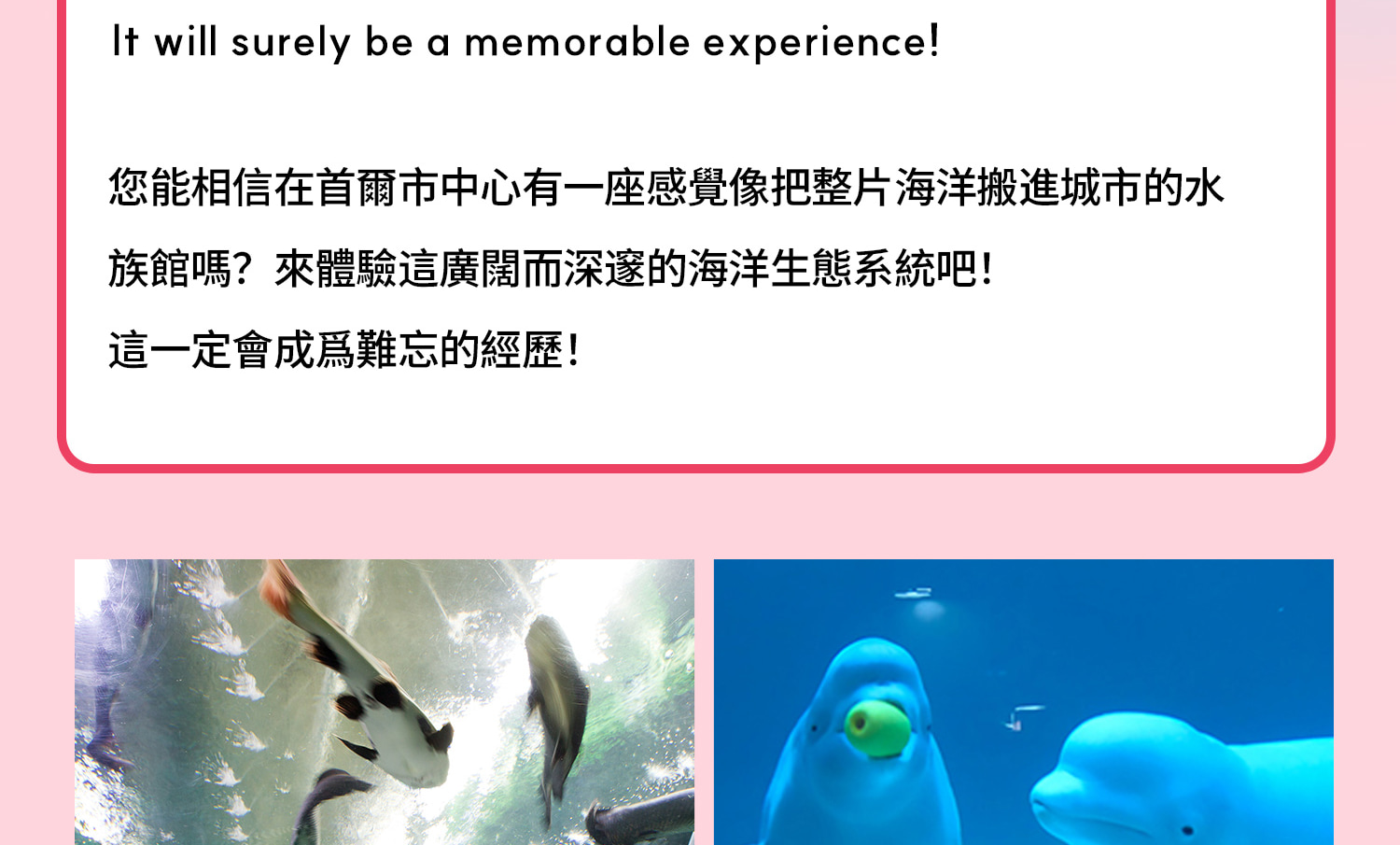 樂天世界深度體驗之旅