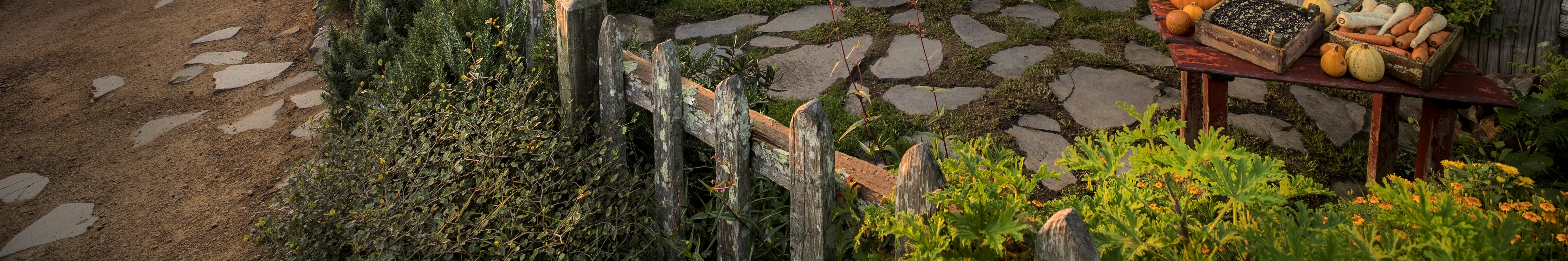 探索迷人的哈比村電影外景地，這裡的每個細節都將托爾金的中土世界帶入生活