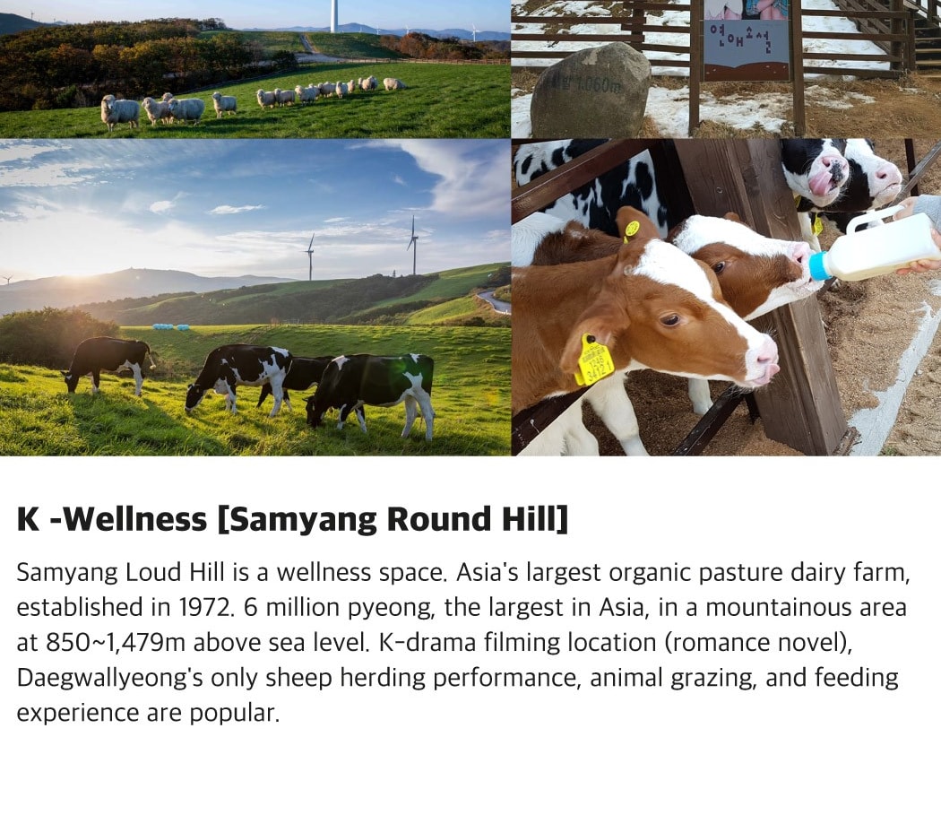 KTX Gangwon-Do Pyeongchang K-Culture[K-Food/K-Drama/K-Wellness]