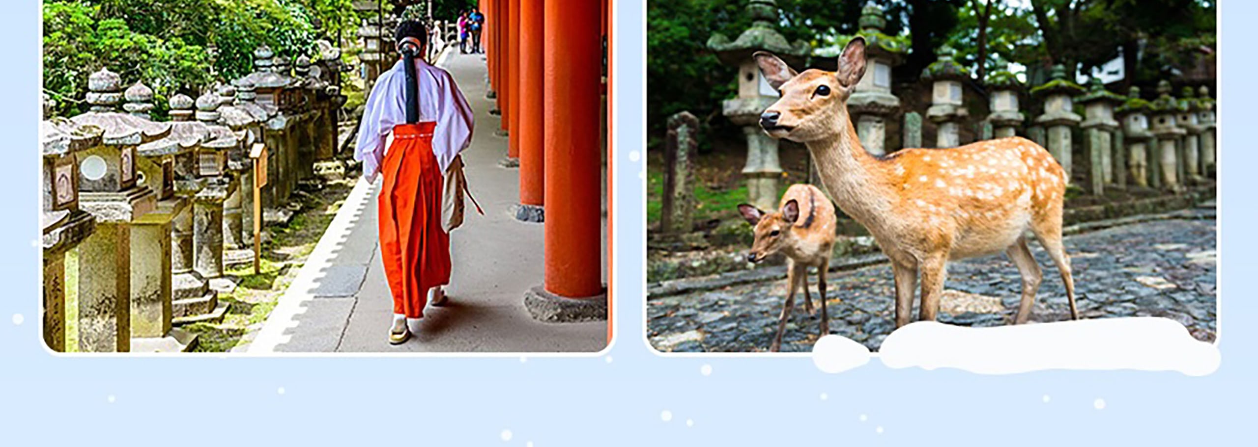 探索春日大社，它以沿寧靜森林小徑排列的石燈籠和銅燈籠而聞名。