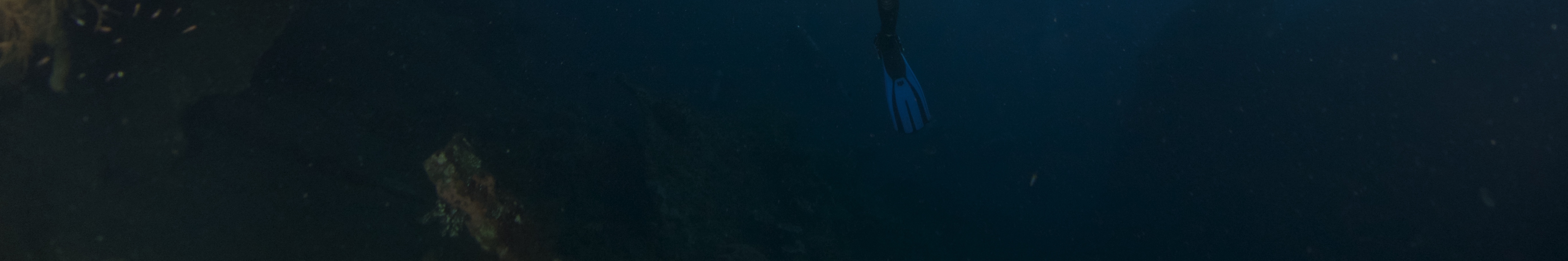 在圖蘭本連續兩次潛水，探索 USAT Liberty Wreck 沉沒之美，開啟難忘的水下冒險之旅