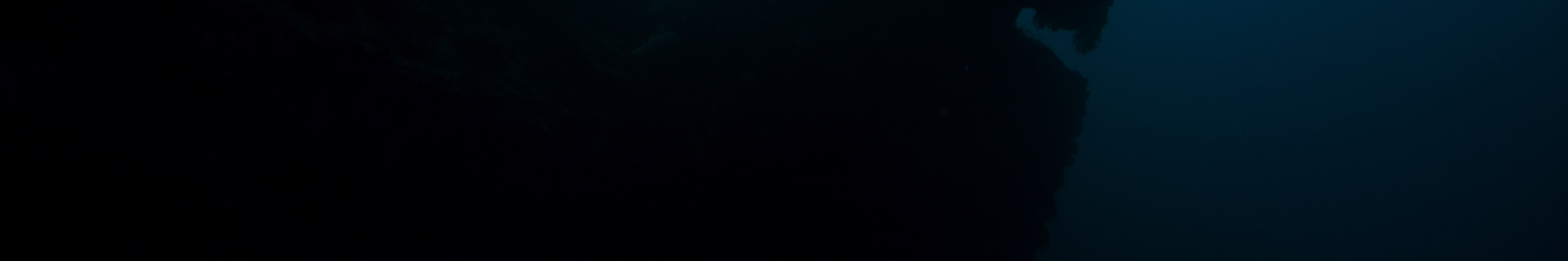 在巴厘島圖蘭本的 USAT Liberty Wreck 進行 2 次潛水，體驗雙倍的刺激，沉浸在歷史悠久的海底世界中。