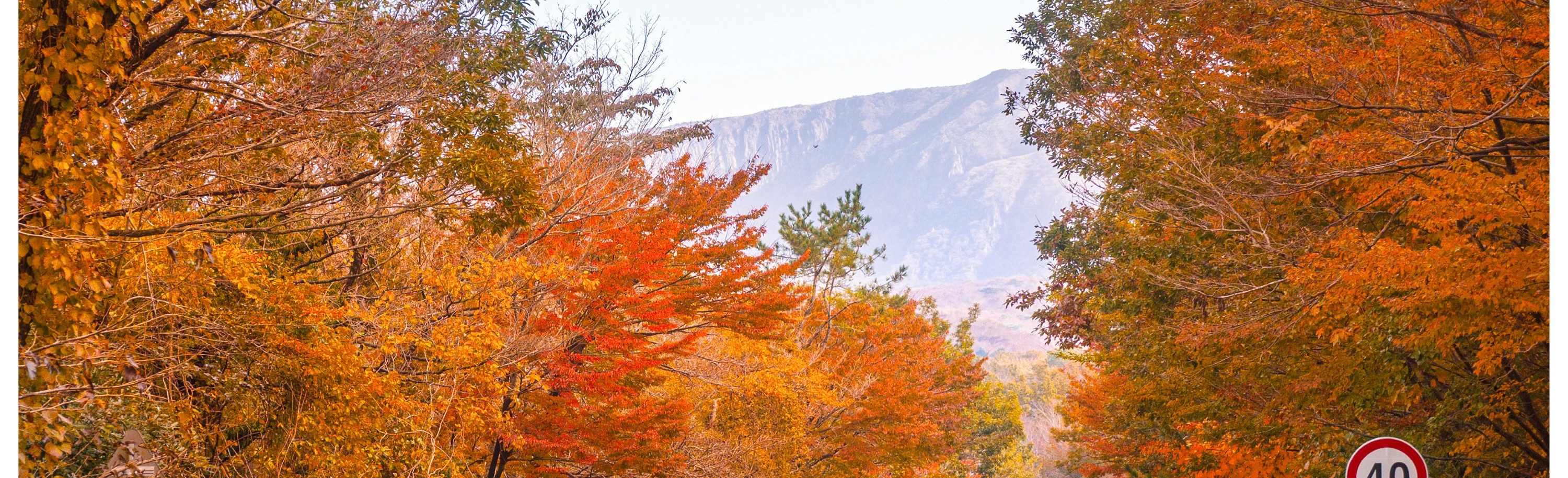 智異山紅葉一日遊（釜山出發）