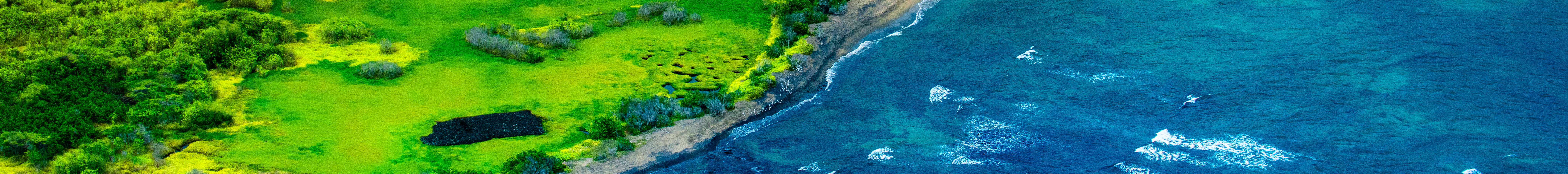 Kona Coast Scenic - 30 Min Helicopter Tour - Doors Off or On