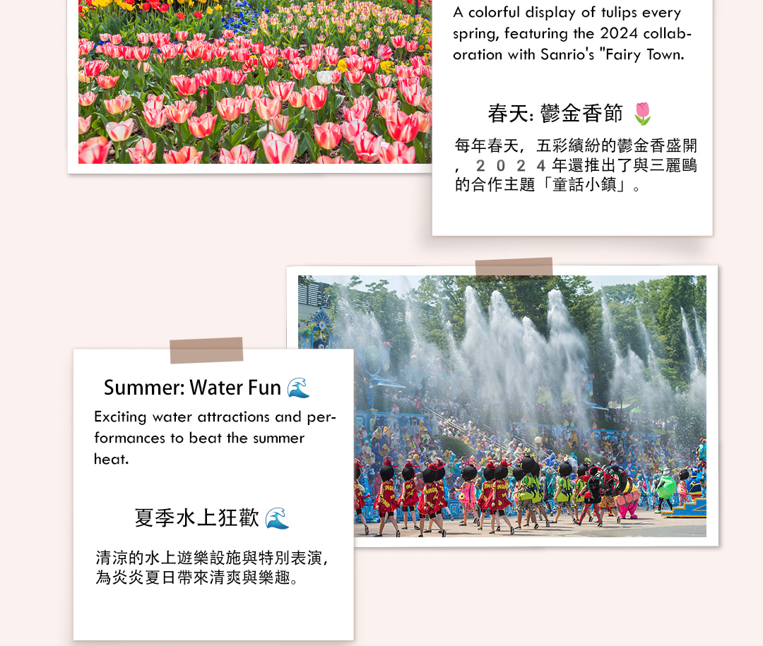 首爾愛寶樂園 (Everland) 夜間導覽，包含所有費用