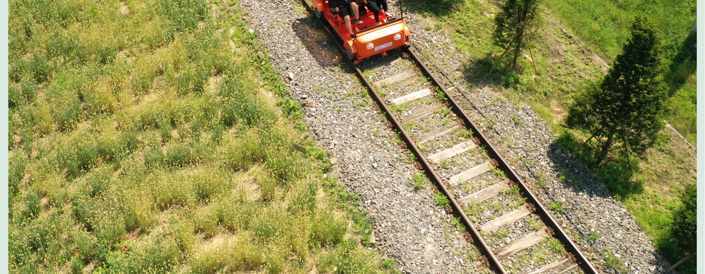 南怡島／草泥馬樂園／鐵道自行車／小法國村／晨靜樹木園之旅