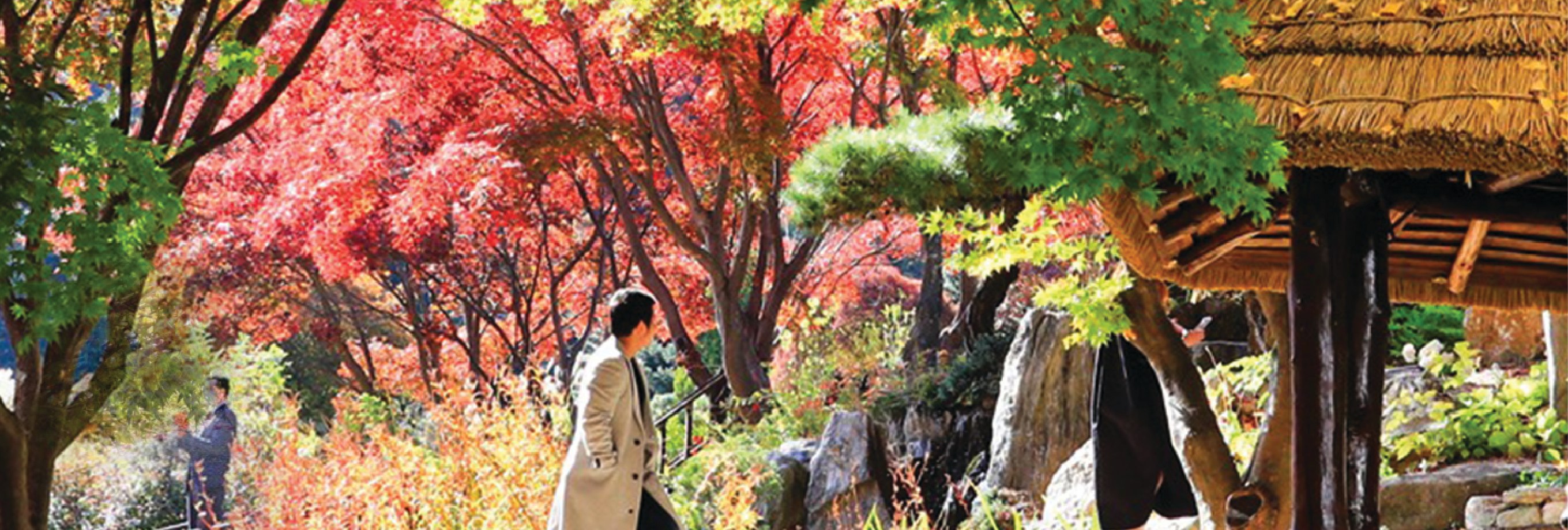 南怡島 (Nami Island) & 伊甸園冰雪世界 (Eobi Ice Valley) & 全景場 (Panorama Field) &  晨靜樹木園 (Morning Calm) 旅遊