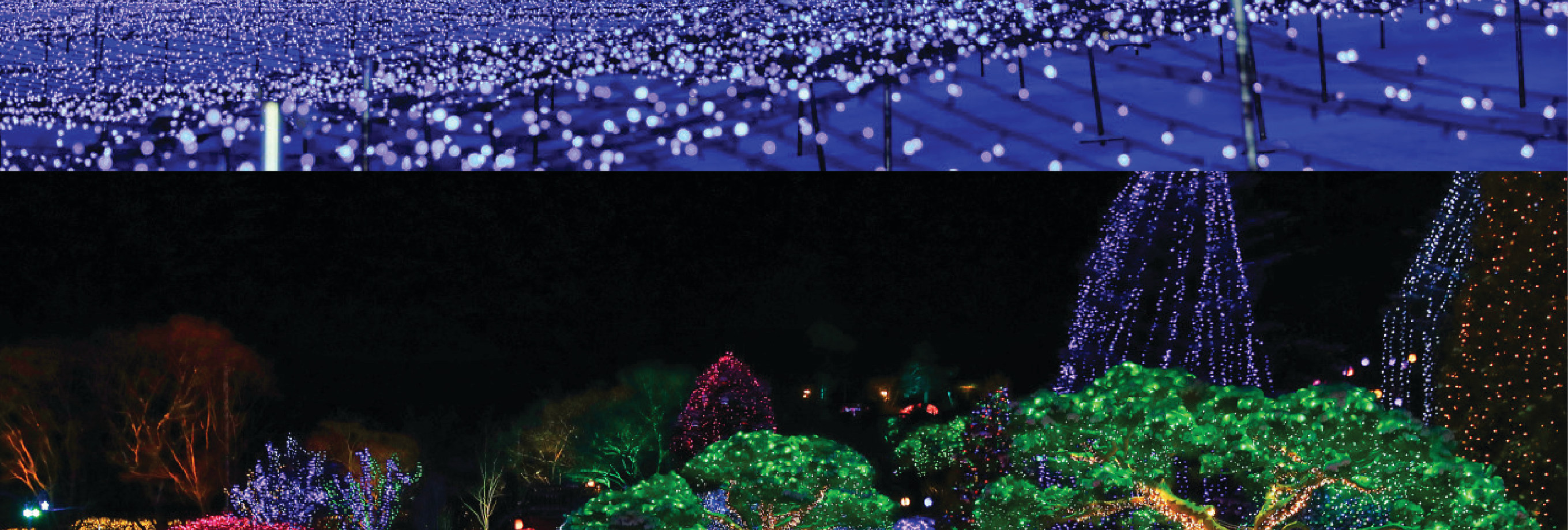 南怡島 (Nami Island) & 伊甸園冰雪世界 (Eobi Ice Valley) & 全景場 (Panorama Field) &  晨靜樹木園 (Morning Calm) 旅遊