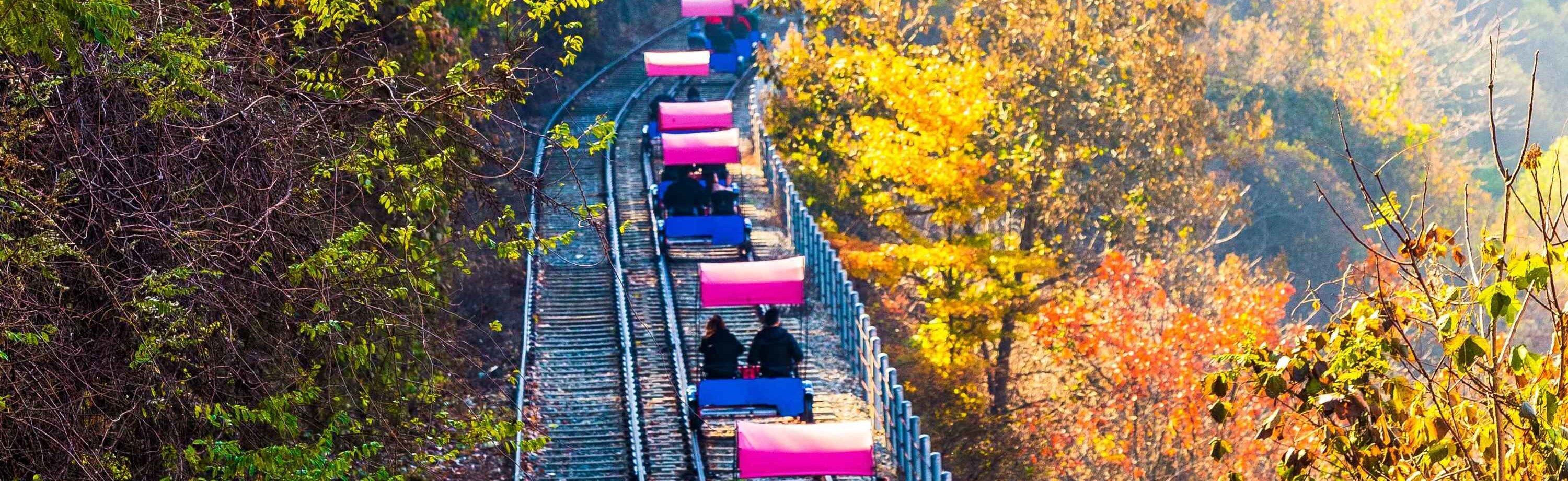軌道自行車(近南怡島) 軌道自行車(近南怡島)