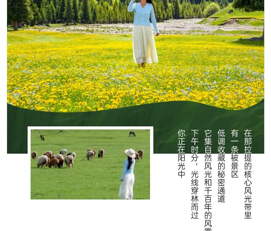 新疆秘境伊犁8日遊（獨庫公路北段+那拉提空中草原+賽里木湖環湖+唐布拉觀景臺+喀拉峻+庫爾德寧+沃爾塔交塔）