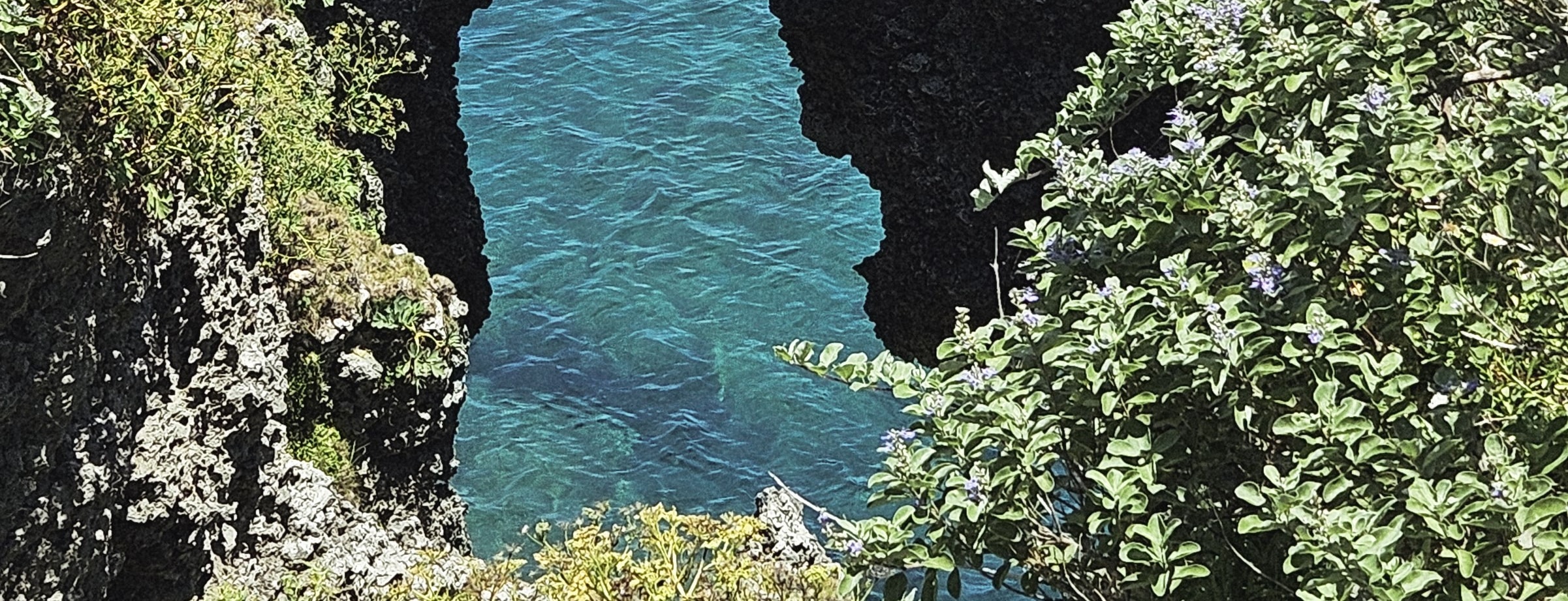沖繩萬座毛