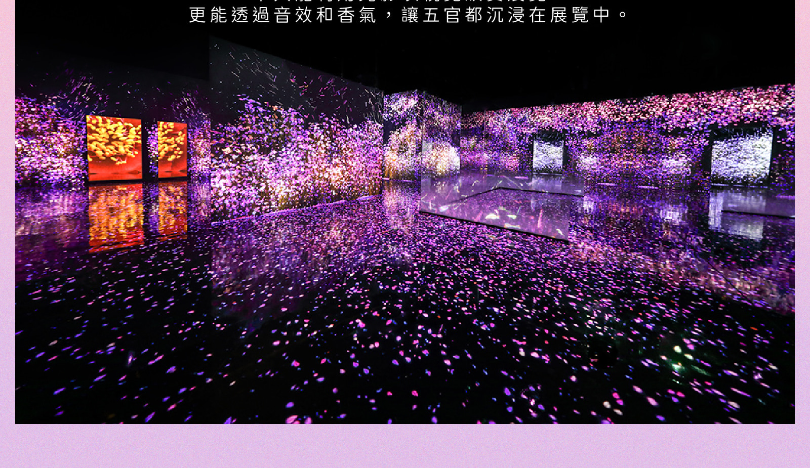 江陵熱點！BTS巴士站/ 鬼怪/ 哈斯拉藝術世界/ 咖啡街 一日遊
