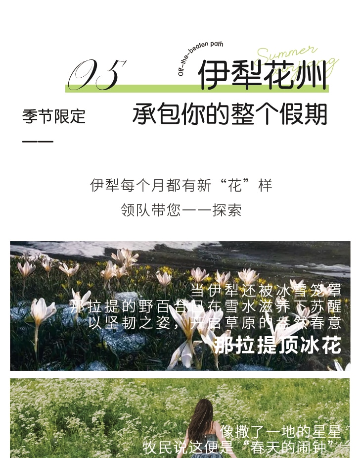 新疆伊犁縱貫天山獨庫版8日(高配置坦克300+旅拍攝影+賽里木湖+夏塔冰川+恰西森林+那拉提草原+古牧道秘境)