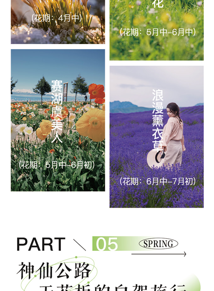 新疆伊犁牧野伊夏五月版7日（全程攝影旅拍+賽湖帆船體驗+喀拉峻民族家訪+庫爾德寧小火鍋+那拉提空中草原+恰甫其海+果子溝大橋+六星街）