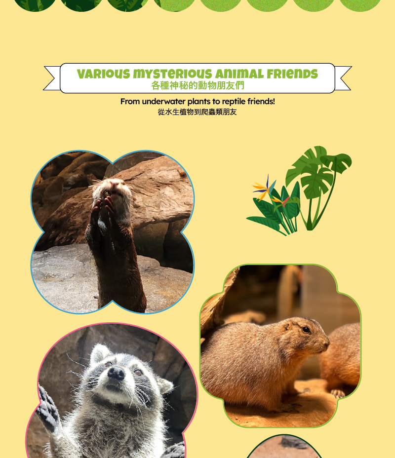 SeenB 室內動物樂園 + 水上花園公園門票