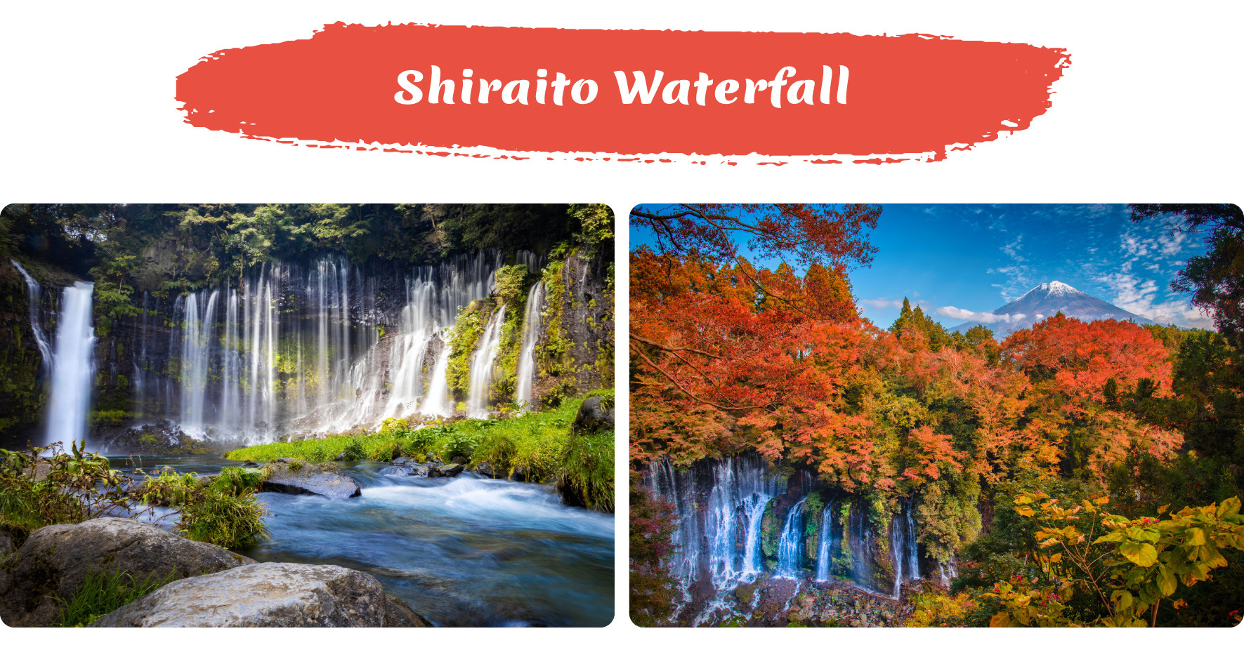 在羅森河口湖站和本町街捕捉令人驚歎的富士山美景,這是兩個最具標誌性的拍照地點,您完美的Instagram時刻正等待著您。探索白絲瀑布,這是一個位於富士山附近壯觀的聯合國教科文組織遺址,以其150米寬的瀑布而聞名。 在羅森河口湖站和本町街捕捉令人驚歎的富士山美景,這是兩個最具標誌性的拍照地點,您完美的Instagram時刻正等待著您。探索白絲瀑布,這是一個位於富士山附近壯觀的聯合國教科文組織遺址,以其150米寬的瀑布而聞名。