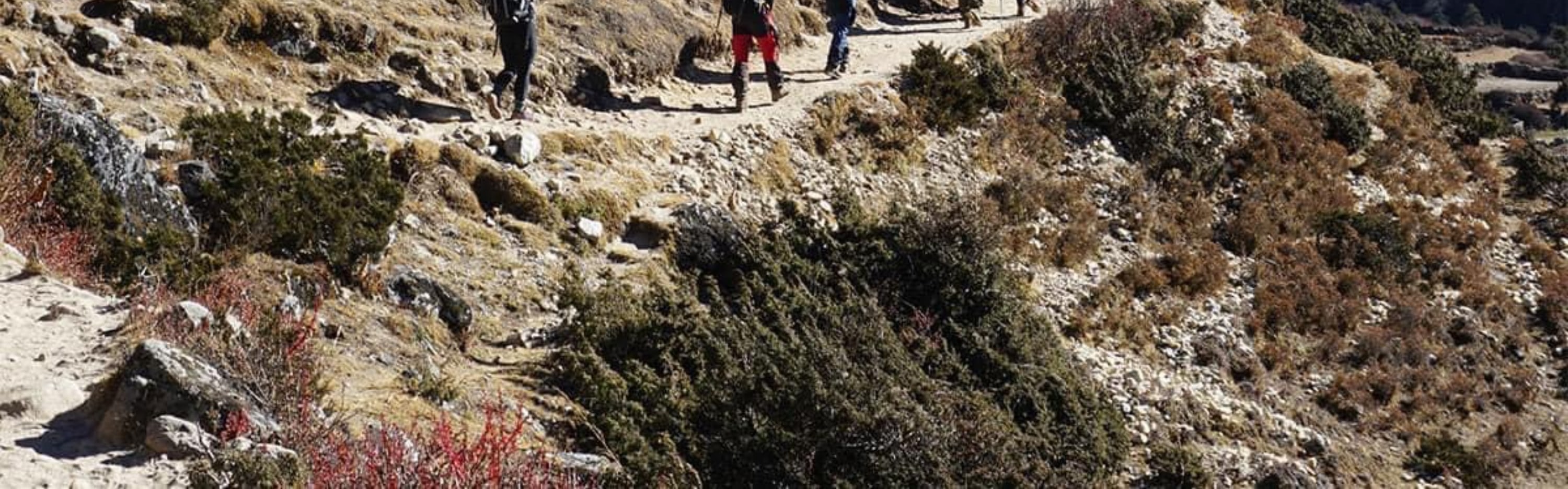 博卡拉：4天馬爾迪喜馬拉雅山徒步之旅