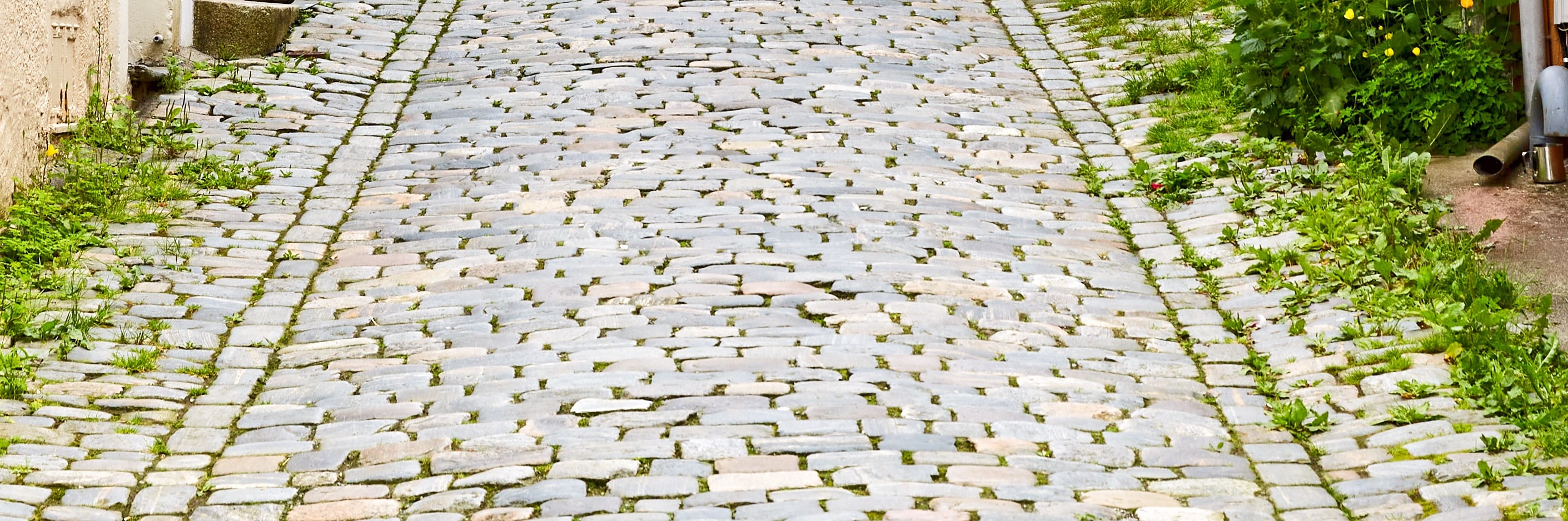Wander amid the charming streets of Bergen and listen to their tales.