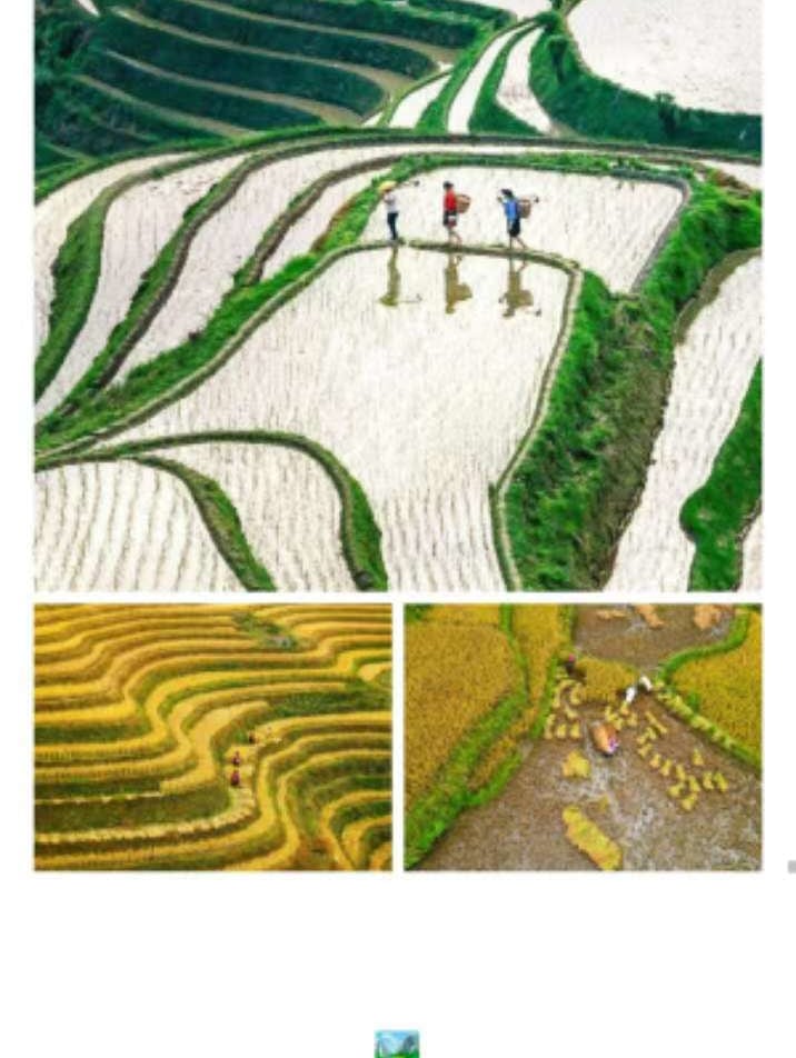 雲南流光滇東南高奢5日（全程臻選度假酒店+撫仙湖希爾頓酒店+建水古城City-walk+非遺手作+米軌小火車+元陽壩達梯田）