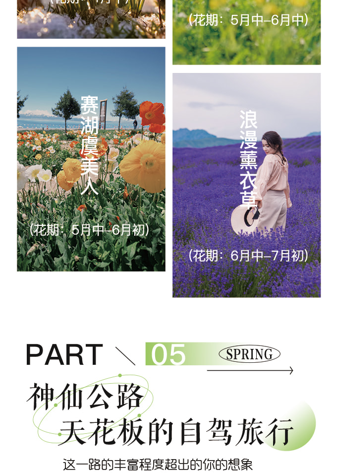 新疆伊犁牧野伊夏獨庫版7日（全程攝影旅拍+賽湖帆船體驗+喀拉峻民族家訪+庫爾德寧小火鍋+孟克特古道+恰甫其海+唐布拉百里畫廊）