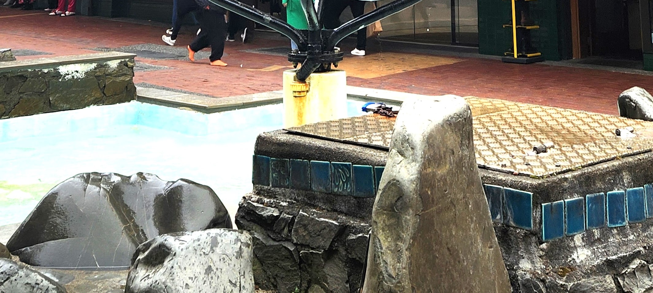 惠靈頓徒步美食之旅